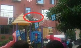 北海今日爆料电话多少,揭秘神秘热线电话，一触即达真相现场