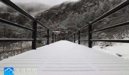 昆明爆料下雪视频大全播放,网友视频大全记录冬日美景